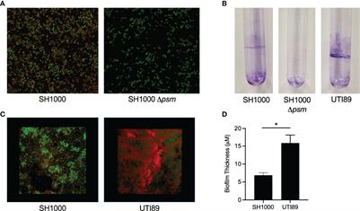Phenol-Soluble Modulins From Staphylococcus aureus Biofilms Form Complexes With DNA to Drive Autoimmunity